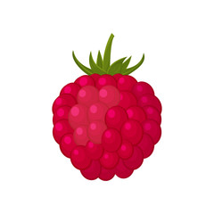 Colorful berry raspberry icon on white background.