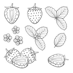 Set of outline strawberry on a white background