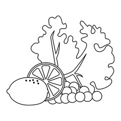 fresh lettuce with lemon and grapes healthy food