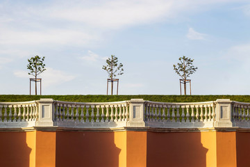 balustrade on a hill with young trees and sky in Peterhof