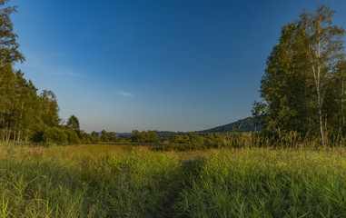 Meadow in evening near Soumarsky Most village