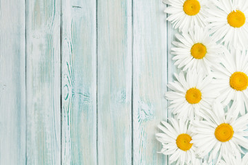 Fototapeta premium Garden chamomile flowers on wooden background