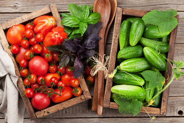 Fresh garden tomatoes and cucumbers