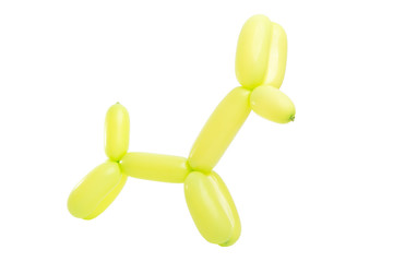 balloon dog isolated on the white