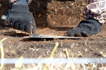 The hands of the archaeologist with a trowel in the pit