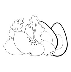 fresh lettuce with avocado and potatoes healthy food