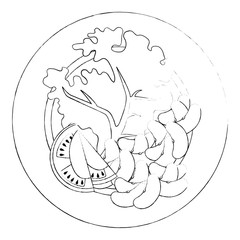 dish with fresh lettuce and beans