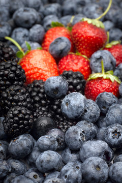 Closeup of fresh berries, blackberries, strawberries and blueberries.
