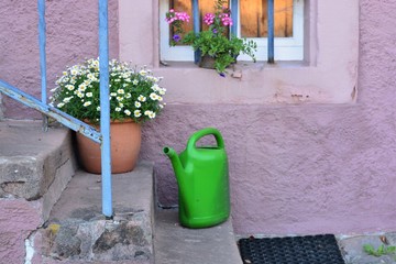 A plant pot and a water can on purple stairs