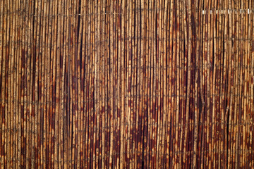 Weathered bamboo fence.