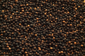 Black pepper close-up with blur effect.