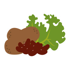 fresh lettuce with beans and potatoes healthy food