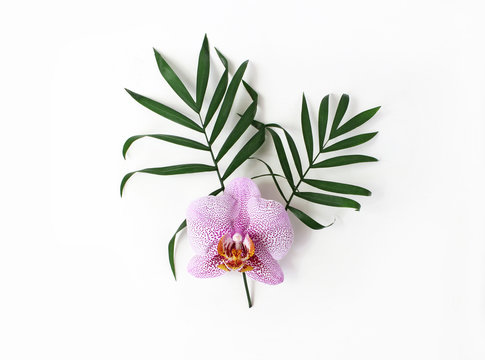 Styled stock photo. Jungle floral composition of green palm leaves and pink Phalenopsis orchid flower isolated on white background. Tropical summer holiday, vacation concept. Flat lay, top view.