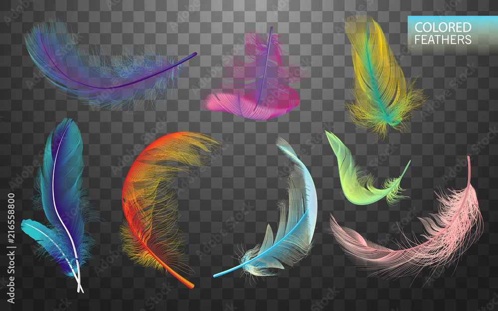 Wall mural set of isolated falling colored fluffy twirled feathers on transparent background in realistic style