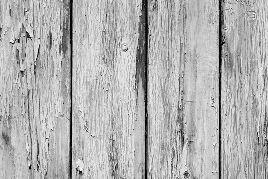 Old grunge wooden fence pattern in black and white.