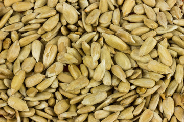 Sunflower seeds Food concept texture