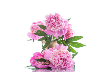 bouquet of blooming peonies