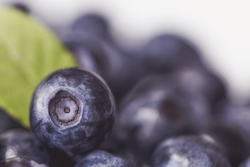 Bilberry selective focus. Copyspace