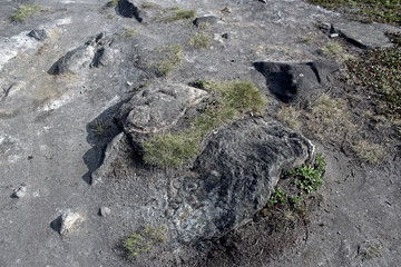 nature rock