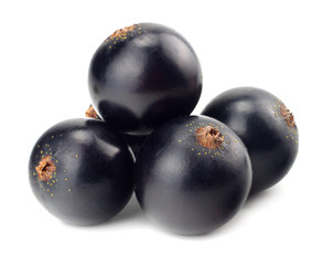 black currant isolated on white background. macro