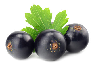 black currant with green leaf isolated on white background. macro