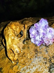 Cave Dwellers