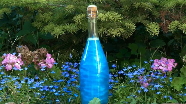 Blue elixir in a bottle in the forest