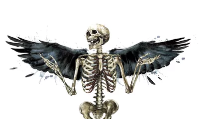 Zelfklevend Fotobehang Menselijk skelet versierd met vleugels. Aquarel illustratie. © nataliahubbert