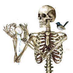 Gardinen Menschliches Skelett mit Taschenuhr. Aquarell Abbildung. © nataliahubbert