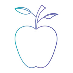 apple fresh fruit healthy vector illustration design