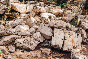 Rocky surface close-up in the mountains.
