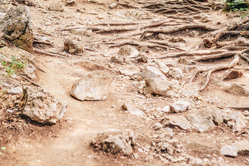 Rocky surface close-up in the mountains.
