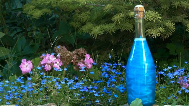 Blue elixir in a bottle in the forest