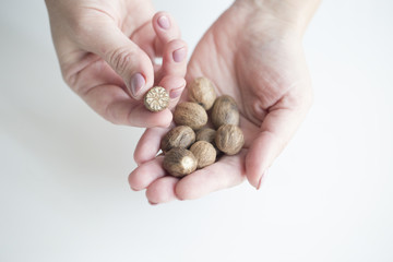 Dried seeds of fragrant nutmeg and grated nutmeg