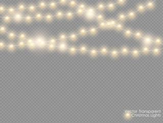 Obraz premium Vector christmas lights isolated on transparent background. Xmas glowing garland. Golden semitransparent new year lights decoration.