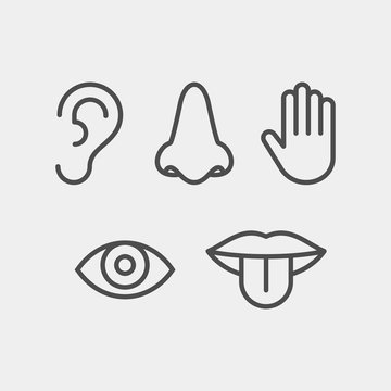 Sense organs icons Cut Out Stock Images  Pictures  Alamy