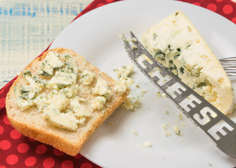 A sandwich made of blue cheese.