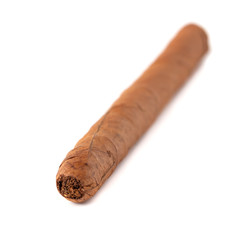 The long cigar isolated on a white background