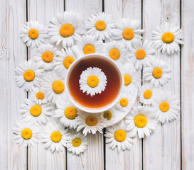 Cup of chamomile tea with fresh daisies. White fresh flowers on a light gray vintage wooden...