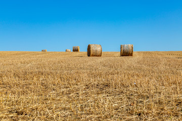 Haybales in a field in Sussex, on a sunny summer's day