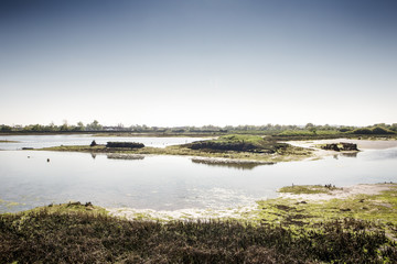 general view maldon and heybridge