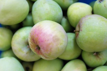 Harvested backyard apples