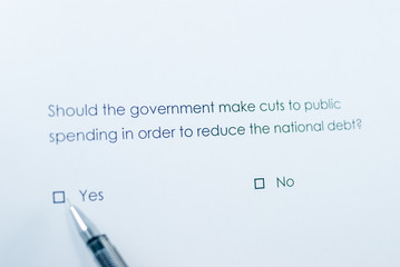 Questionnaire: Should the goverment make cuts to public spending in order to reduce the national debt? Answer: Yes.
