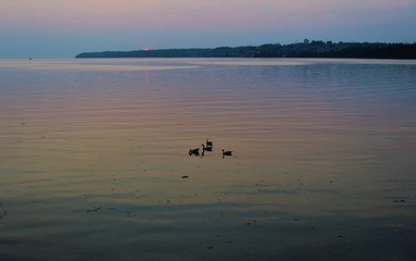Fototapeta premium Sun going down on the White Rock peninsula in summertime