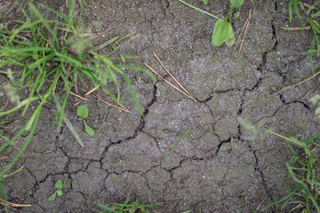 Earth destroyed by great drought. Lack of water and cracked earth. Season of the summer.