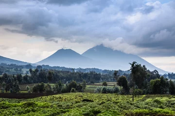 Foto op Canvas Virunga volcano national park landscape with green farmland fields in the foreground, Rwanda © vadim.nefedov