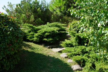 stone path in the Park