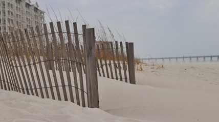 White Sand Beach - Florida