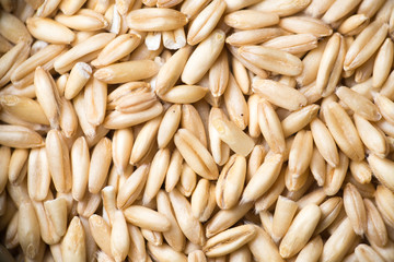 close up to oat grains