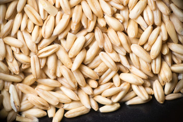 close up to oat grains